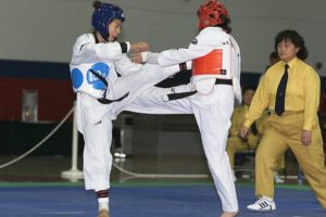 Taekwondo Fight