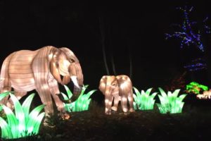 Zoo Lights at Smithsonian's National Zoo