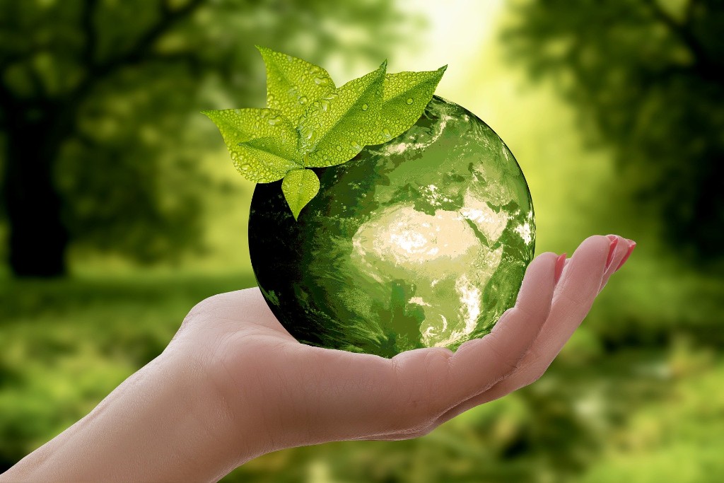A hand holding a green world.