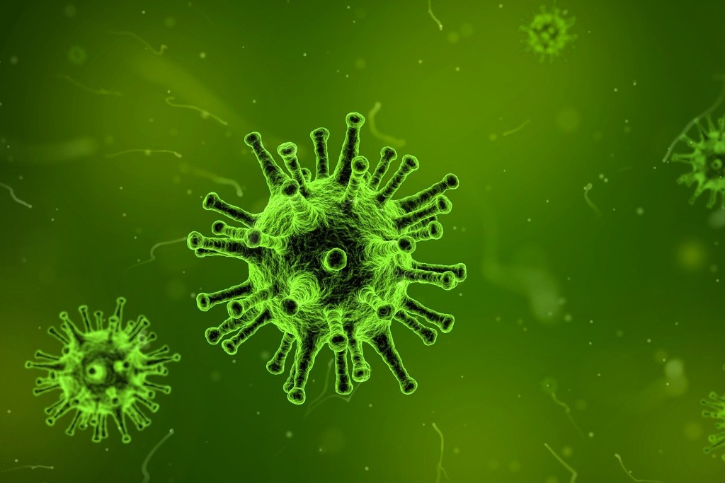 A virus illustration