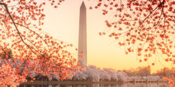 Washington Monument, Jefferson Memorial during the Cherry Blossom Festival