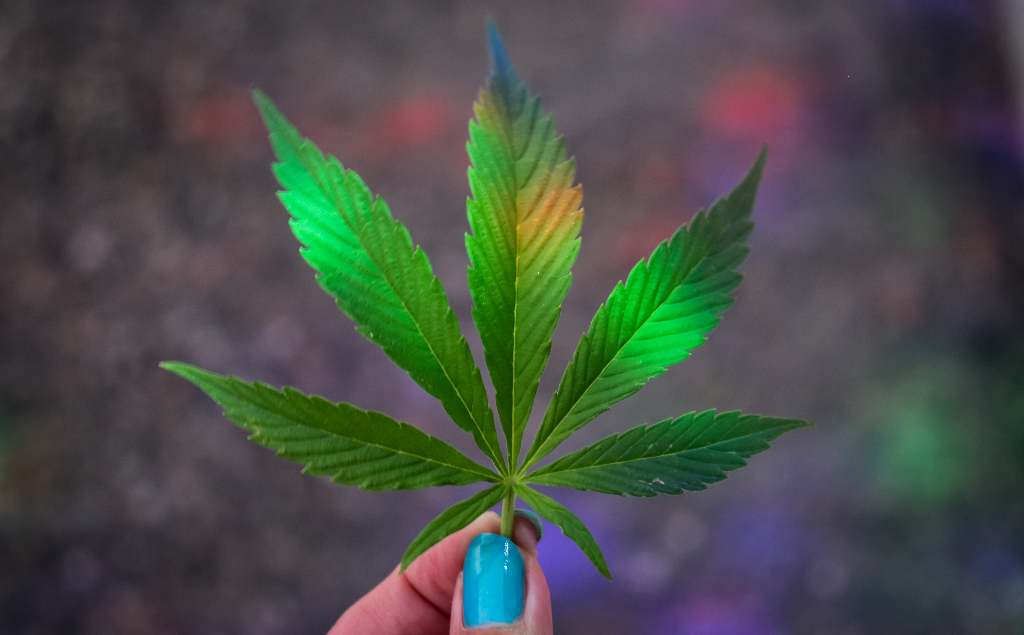 marijuana, cannabis